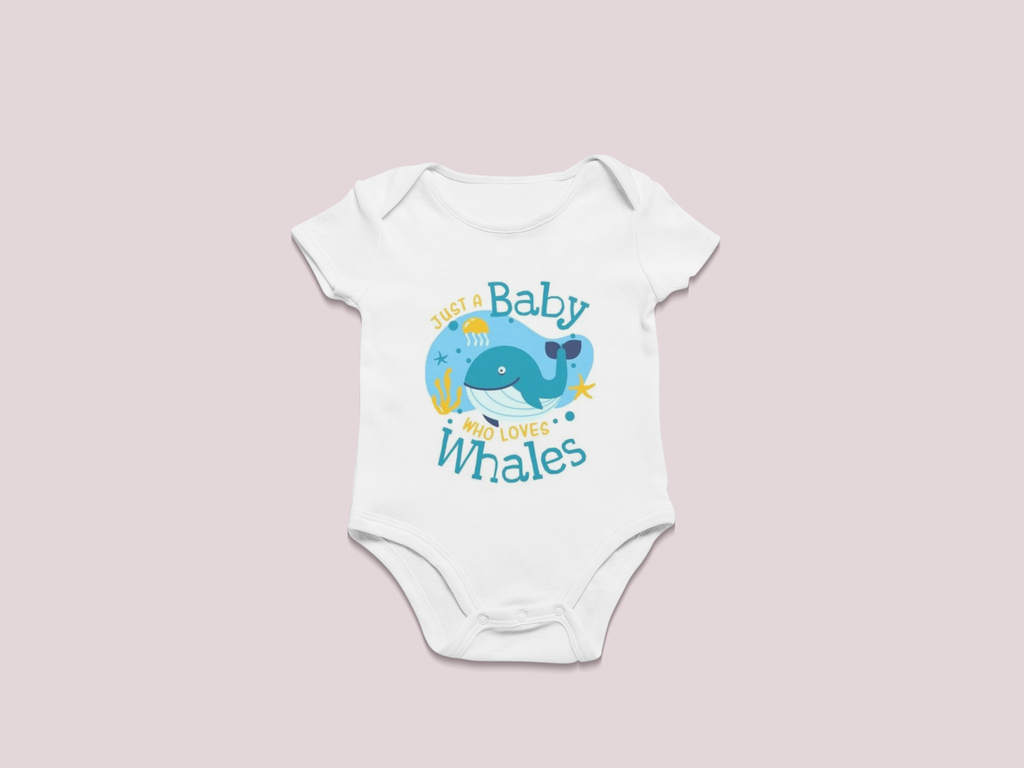 Baby bodysuit / romper / oneies